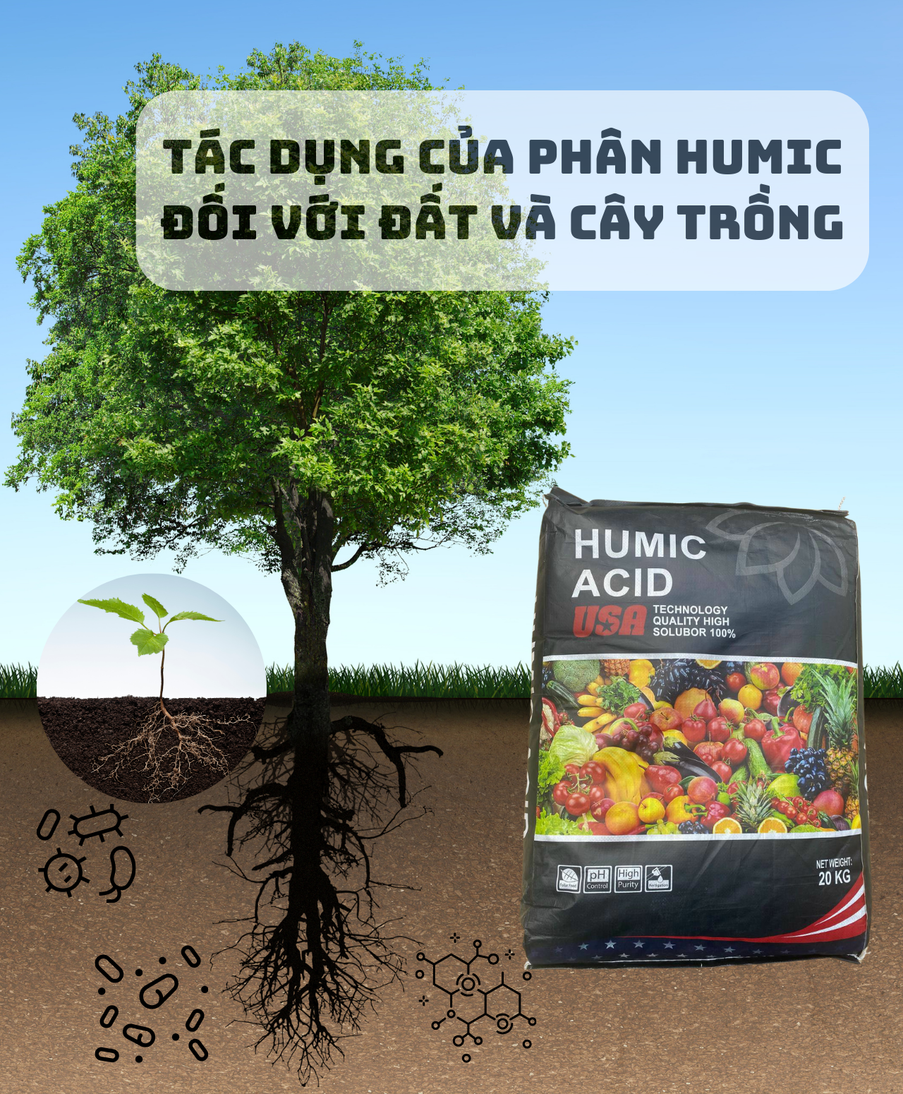 Tác dụng của Humic đối với cây trồng và cách sử dụng Humic hiệu quả