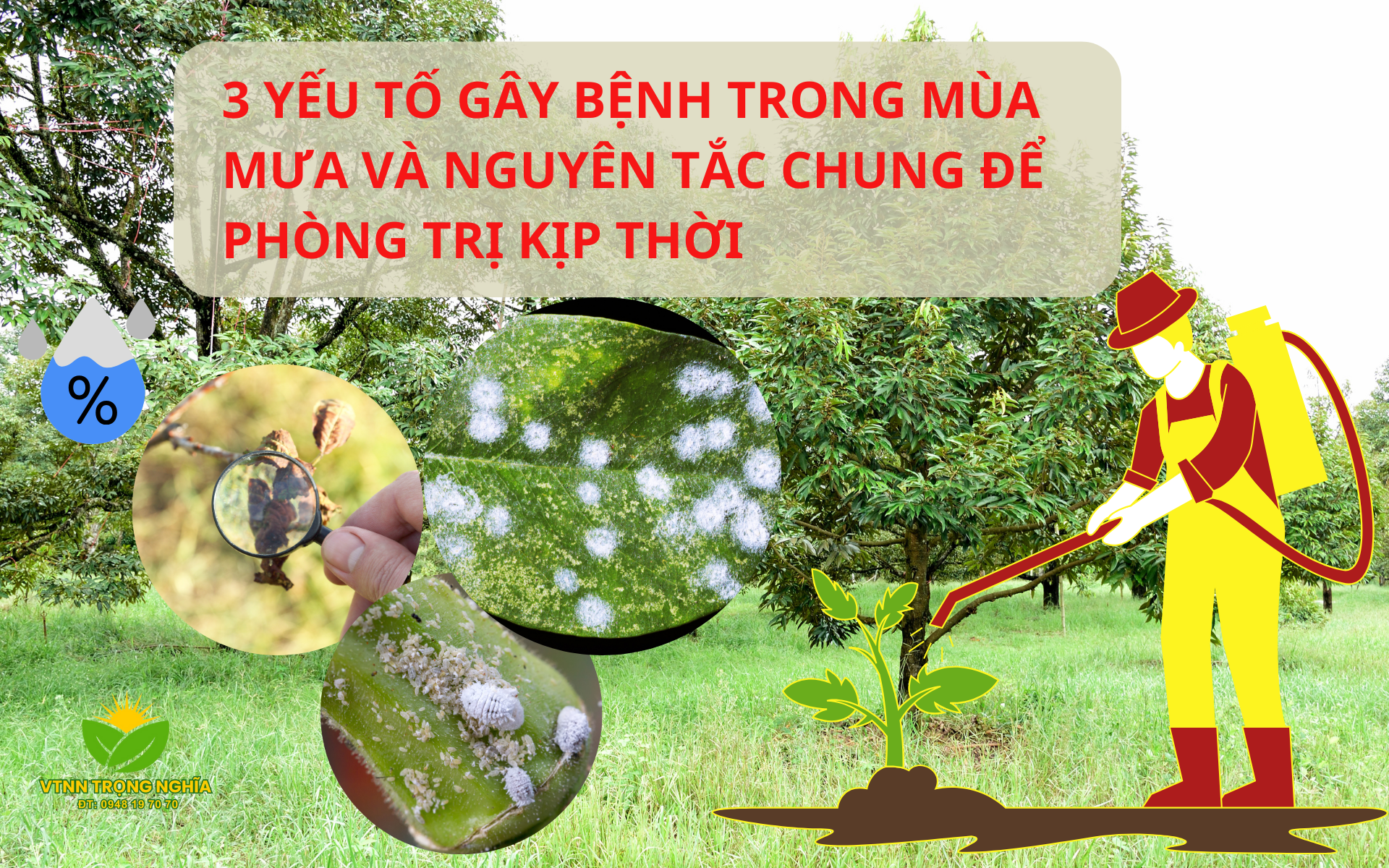 Các yếu tố gây bệnh mùa mưa và cách phòng trị một số loại bệnh thường gặp
