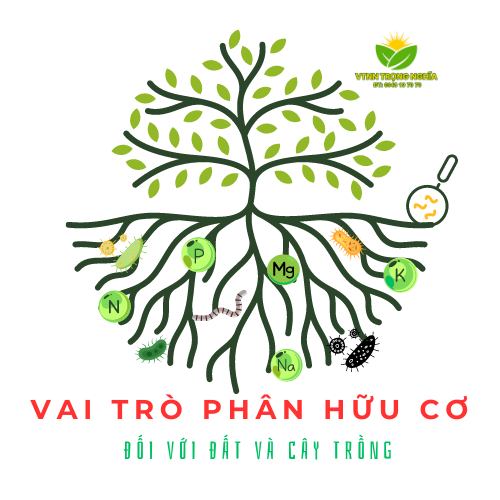 VAI TRÒ CỦA PHÂN HỮU CƠ ĐỐI VỚI ĐẤT VÀ CÂY TRỒNG