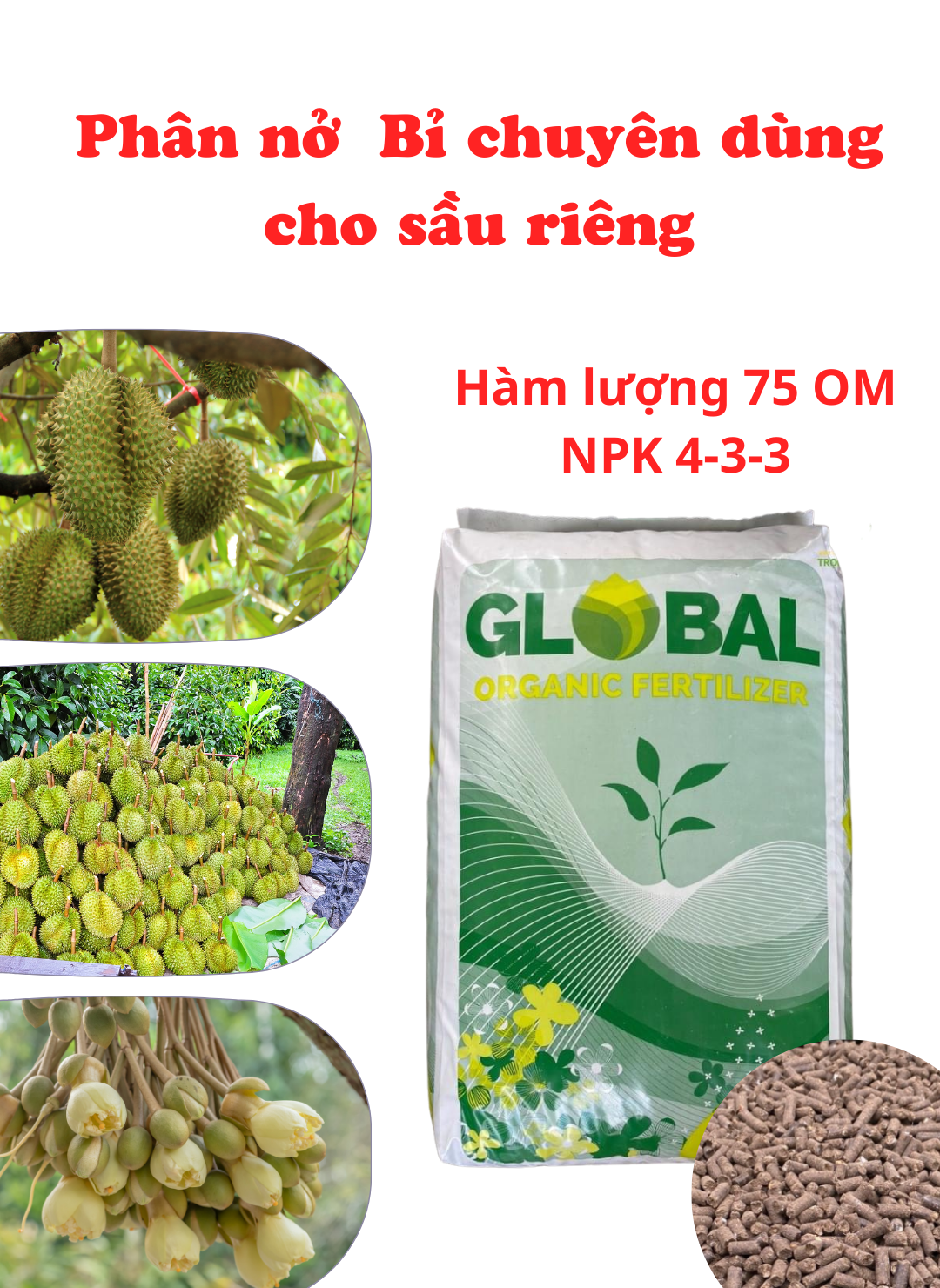 Phân nở chuyên dùng cho sầu riêng - Phân nở Bỉ | Phân hữu cơ nhập khẩu Bỉ, Hà Lan