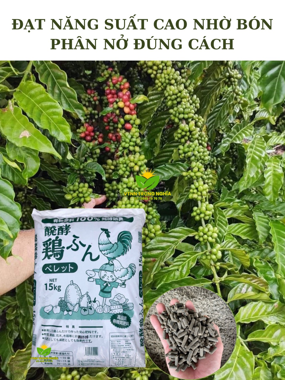 Phân nở Nhật Bản bao zin 15kg | Phân bón cho cà phê đạt năng suất | giá sỉ 0948 19 7070 